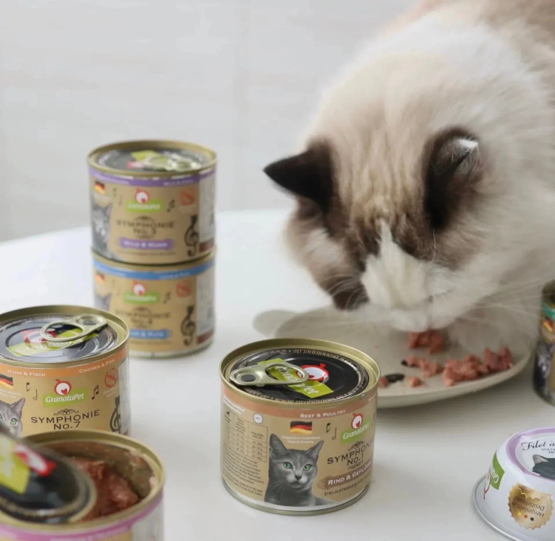 How to Read a Cat Food Label: What Every Cat Owner Should Know
