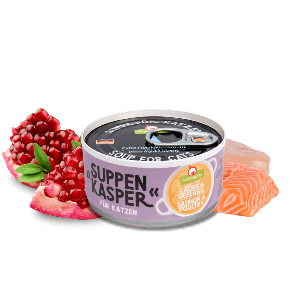 Suppenkasper Cat Broth - Salmon & Poultry