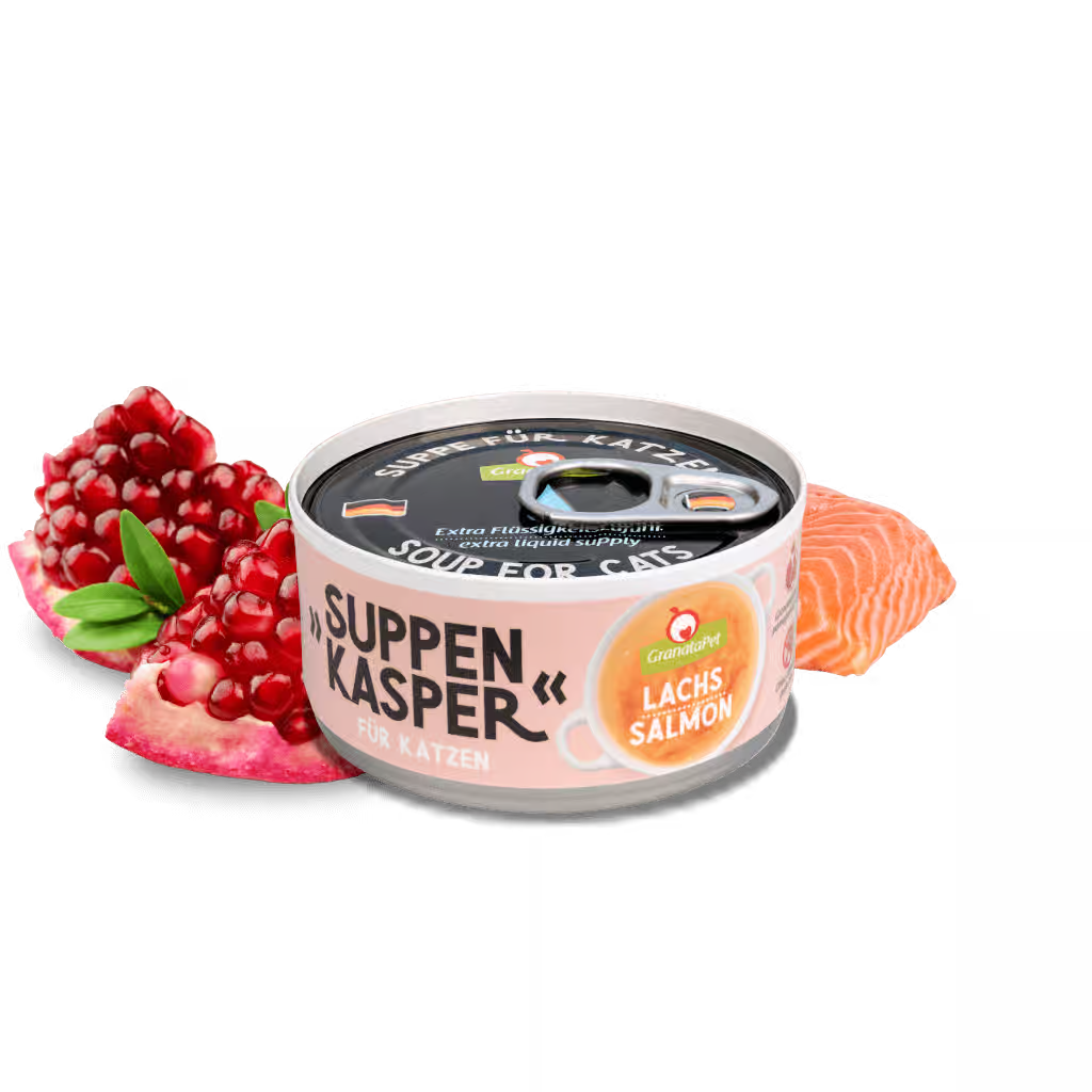 Suppenkasper Cat Broth - Salmon